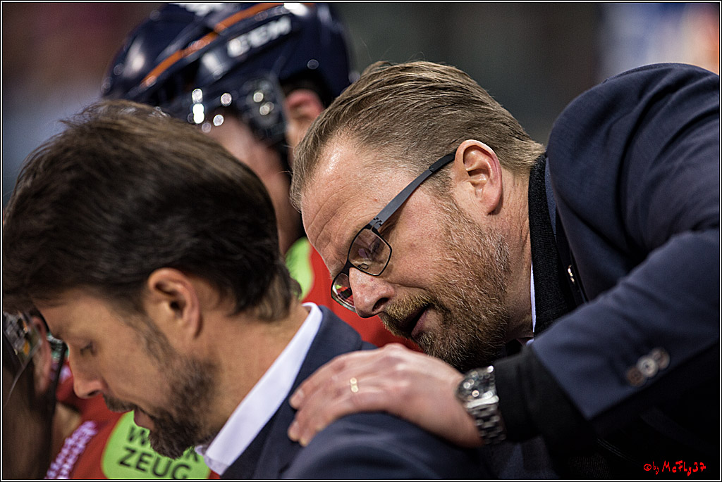 DEL, Koelner Haie - Duesseldorfer EGY, 22.01.2017